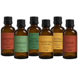 Christmas AROMA - 6 Essential Oil Set with Box