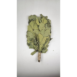 Witki dębowe z melisą