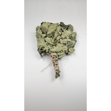 Witki suszone do sauny Witki dębowe EST