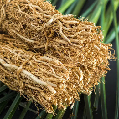 Olejki korzenne/ przyprawy Olejek wetiwer jawajski